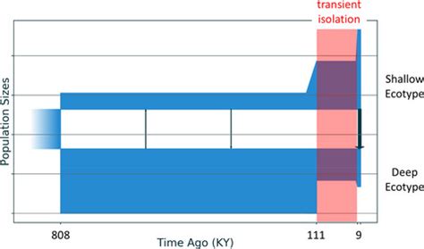 carlos prada uri|Speciation‐by‐Depth on Coral Reefs: Sympatric Divergence with .